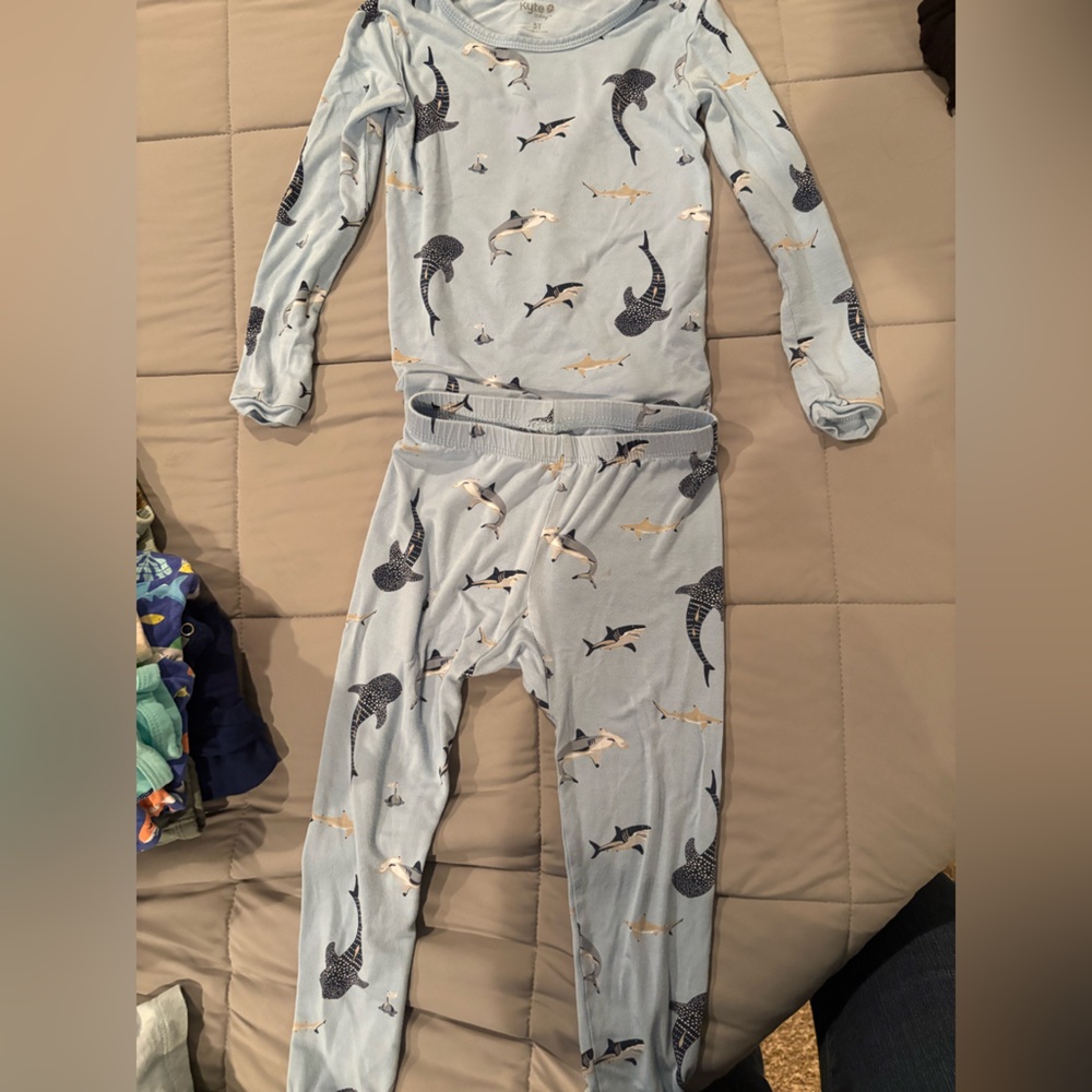 Kyte Baby Long Sleeved Two Piece Pajamas in Stream Shark - 3T